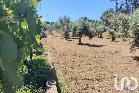 Helårsgrund i Serta, Castelo Branco, Serta - € 35.000 | Ref: 653004 - foto 8