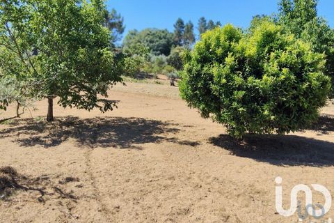 Helårsgrund i Serta, Castelo Branco, Serta - € 35.000 | Ref: 653004 - foto 11