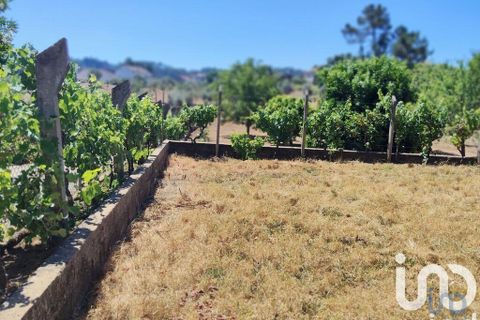 Helårsgrund i Serta, Castelo Branco, Serta - € 35.000 | Ref: 653004 - foto 12