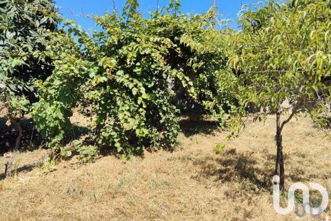 Helårsgrund i Serta, Castelo Branco, Serta - € 35.000 | Ref: 653004 - foto 13