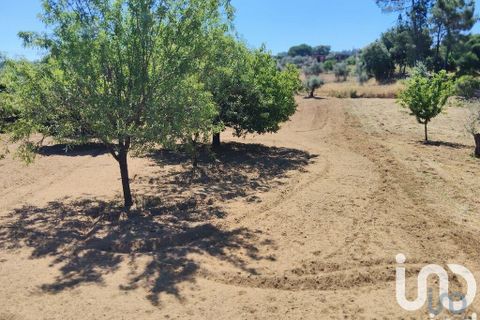 Helårsgrund i Serta, Castelo Branco, Serta - € 35.000 | Ref: 653004 - foto 14