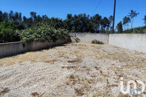 Helårsgrund i Serta, Castelo Branco, Serta - € 35.000 | Ref: 653004 - foto 15