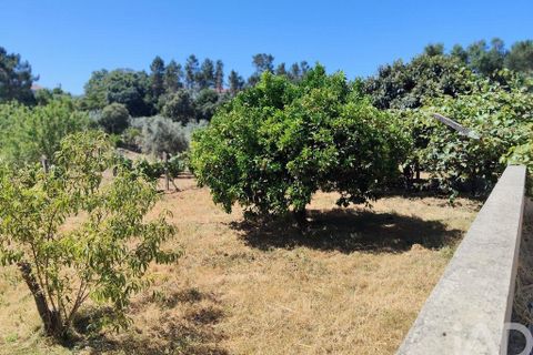 Helårsgrund i Serta, Castelo Branco, Serta - € 35.000 | Ref: 653004 - foto 17