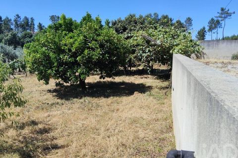 Helårsgrund i Serta, Castelo Branco, Serta - € 35.000 | Ref: 653004 - foto 18
