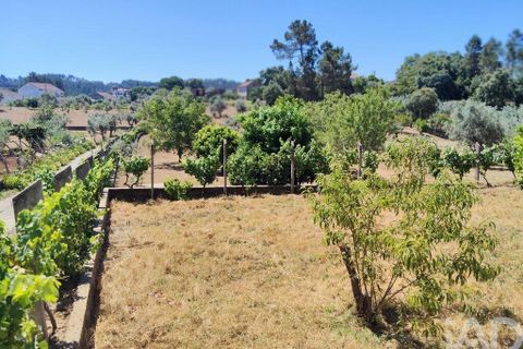 Helårsgrund i Serta, Castelo Branco, Serta - € 35.000 | Ref: 653004 - foto 1