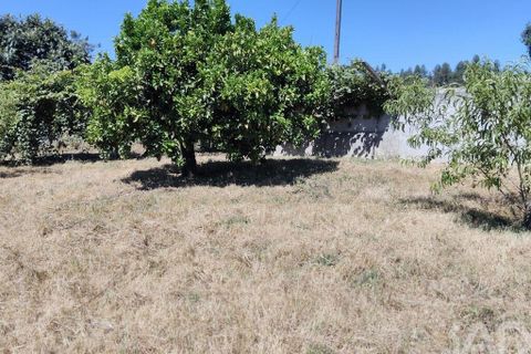 Helårsgrund i Serta, Castelo Branco, Serta - € 35.000 | Ref: 653004 - foto 22