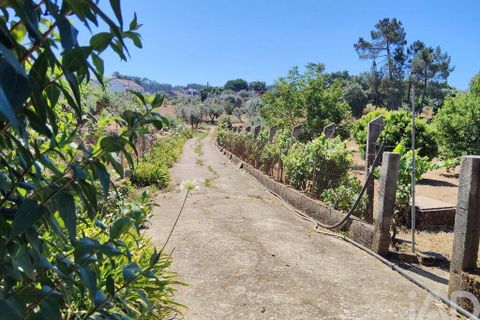 Helårsgrund i Serta, Castelo Branco, Serta - € 35.000 | Ref: 653004 - foto 24