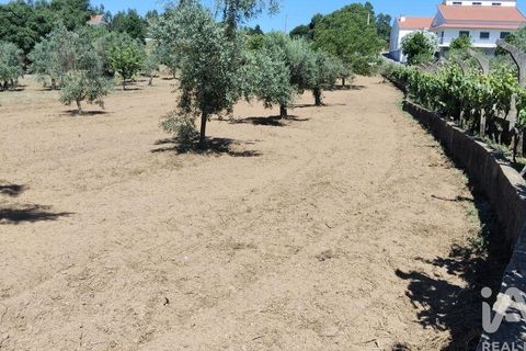 Helårsgrund i Serta, Castelo Branco, Serta - € 35.000 | Ref: 653004 - foto 26