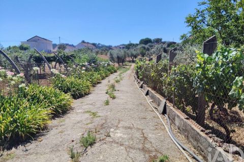 Helårsgrund i Serta, Castelo Branco, Serta - € 35.000 | Ref: 653004 - foto 27