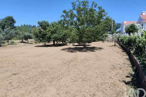 Helårsgrund i Serta, Castelo Branco, Serta - € 35.000 | Ref: 653004 - foto 28