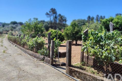 Helårsgrund i Serta, Castelo Branco, Serta - € 35.000 | Ref: 653004 - foto 29