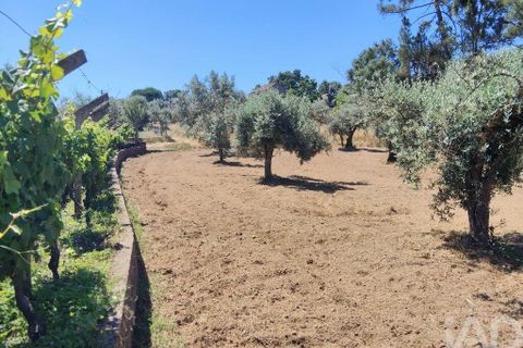 Helårsgrund i Serta, Castelo Branco, Serta - € 35.000 | Ref: 653004 - foto 31