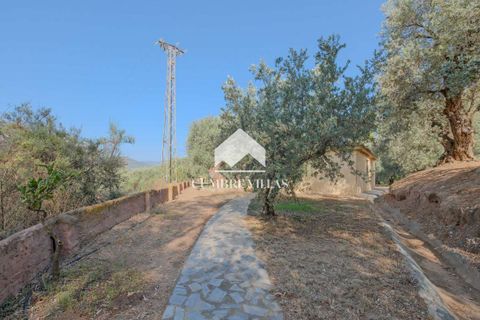 Landejendom i Orgiva, Granada, Orgiva - € 660.000 | Ref: 2226 - foto 7