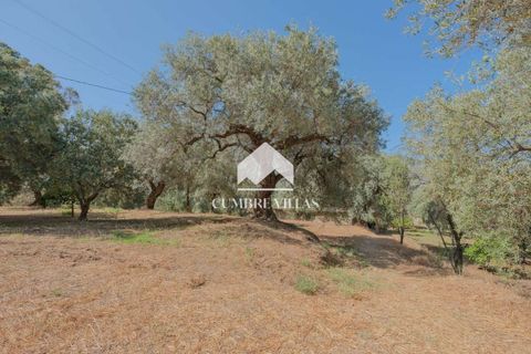Landejendom i Orgiva, Granada, Orgiva - € 660.000 | Ref: 2226 - foto 30