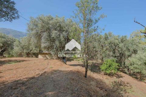 Landejendom i Orgiva, Granada, Orgiva - € 660.000 | Ref: 2226 - foto 31