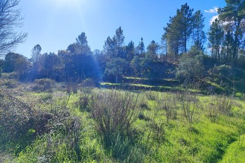 Helårsgrund i Castelo Branco, Castelo Branco, Castelo Branco - € 25.000 | Ref: SÒL_234 - foto 6