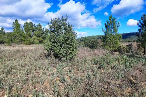 Helårsgrund i Castelo Branco, Castelo Branco, Castelo Branco - € 25.000 | Ref: SÒL_234 - foto 4