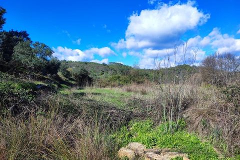 Helårsgrund i Castelo Branco, Castelo Branco, Castelo Branco - € 25.000 | Ref: SÒL_234 - foto 7