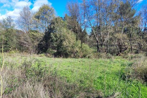 Helårsgrund i Castelo Branco, Castelo Branco, Castelo Branco - € 25.000 | Ref: SÒL_234 - foto 8