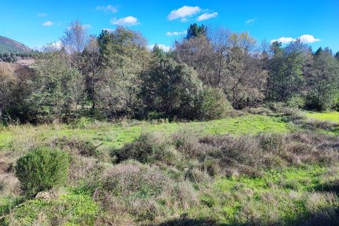 Helårsgrund i Castelo Branco, Castelo Branco, Castelo Branco - € 25.000 | Ref: SÒL_234 - foto 9