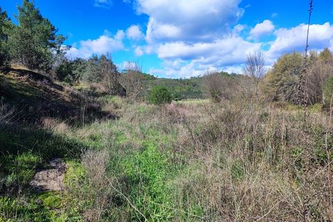 Helårsgrund i Castelo Branco, Castelo Branco, Castelo Branco - € 25.000 | Ref: SÒL_234 - foto 10