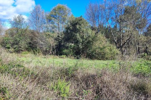 Helårsgrund i Castelo Branco, Castelo Branco, Castelo Branco - € 25.000 | Ref: SÒL_234 - foto 11