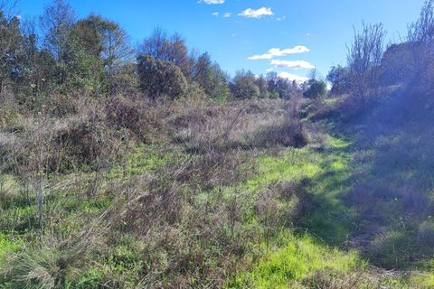Helårsgrund i Castelo Branco, Castelo Branco, Castelo Branco - € 25.000 | Ref: SÒL_234 - foto 13