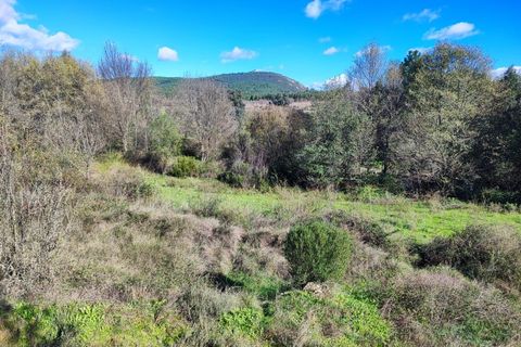 Helårsgrund i Castelo Branco, Castelo Branco, Castelo Branco - € 25.000 | Ref: SÒL_234 - foto 15