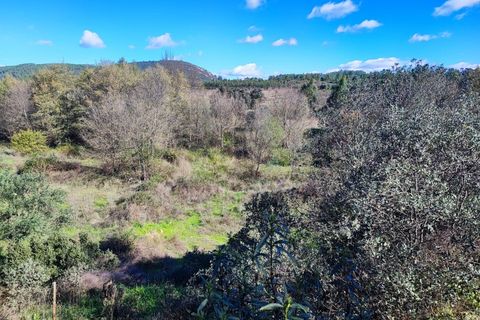 Helårsgrund i Castelo Branco, Castelo Branco, Castelo Branco - € 25.000 | Ref: SÒL_234 - foto 3