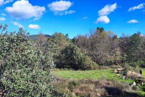 Helårsgrund i Castelo Branco, Castelo Branco, Castelo Branco - € 25.000 | Ref: SÒL_234 - foto 1