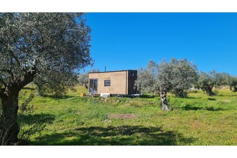 Helårsgrund i Castelo Branco, Castelo Branco, Castelo Branco - € 25.000 | Ref: SÒL_234 - foto 2