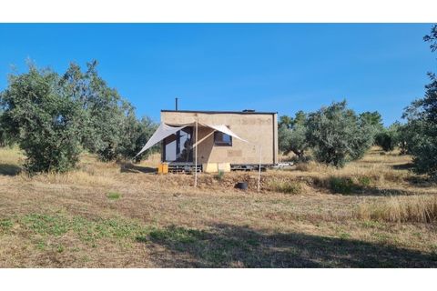 Helårsgrund i Castelo Branco, Castelo Branco, Castelo Branco - € 25.000 | Ref: SÒL_234 - foto 24