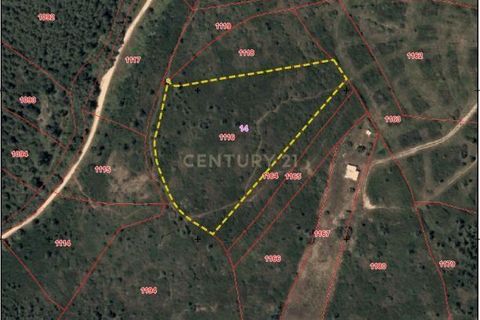 Helårsgrund i Alcabideche, Lisbon, Alcabideche - € 160.000 | Ref: C0283-00507 - foto 2