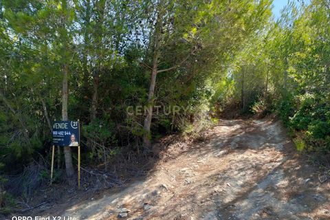 Helårsgrund i Alcabideche, Lisbon, Alcabideche - € 100.000 | Ref: C0283-00506 - foto 2