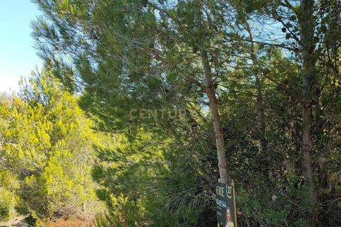 Helårsgrund i Alcabideche, Lisbon, Alcabideche - € 100.000 | Ref: C0283-00506 - foto 3