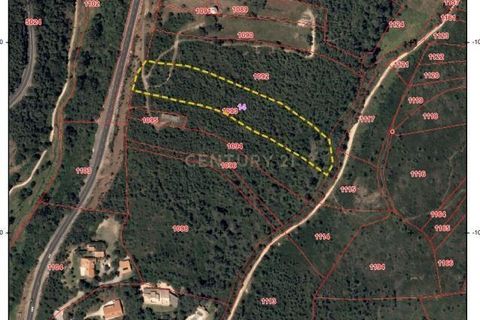 Helårsgrund i Alcabideche, Lisbon, Alcabideche - € 100.000 | Ref: C0283-00506 - foto 5
