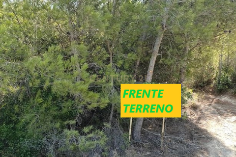Helårsgrund i Alcabideche, Lisbon, Alcabideche - € 100.000 | Ref: C0283-00506 - foto 7