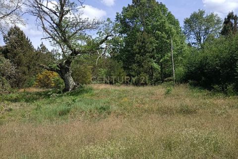 Villa a Queiriz, Guarda, Queiriz - € 39.500 | Ref: C0283-00881 - foto 12