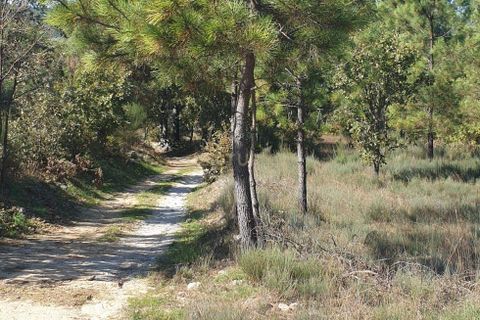 Villa a Queiriz, Guarda, Queiriz - € 39.500 | Ref: C0283-00881 - foto 14