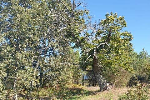 Villa a Queiriz, Guarda, Queiriz - € 39.500 | Ref: C0283-00881 - foto 15