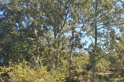 Villa a Queiriz, Guarda, Queiriz - € 39.500 | Ref: C0283-00881 - foto 16