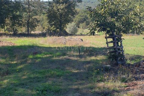 Villa a Queiriz, Guarda, Queiriz - € 39.500 | Ref: C0283-00881 - foto 18