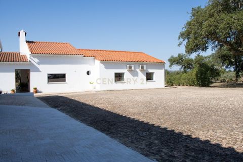Farm hus i Nisa, Portalegre, Nisa - € 650.000 | Ref: C0488-00247 - foto 44