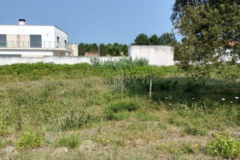 Helårsgrund i Tomar, Santarem, Tomar - € 45.000 | Ref: 1746-02066 - foto 3