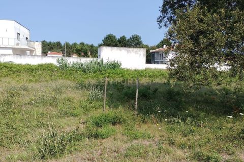 Helårsgrund i Tomar, Santarem, Tomar - € 45.000 | Ref: 1746-02066 - foto 5