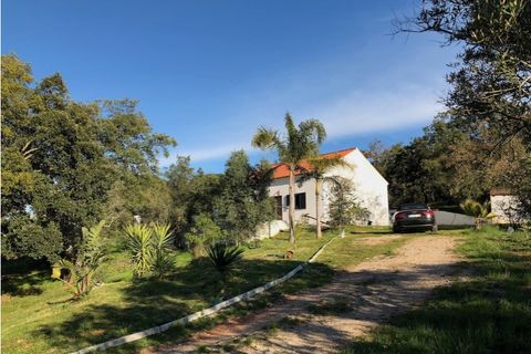 Farm i Setubal, Setubal, Setubal - € 399.000 | Ref: MAS_182 - foto 2