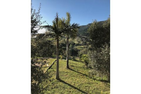 Farm i Setubal, Setubal, Setubal - € 399.000 | Ref: MAS_182 - foto 8