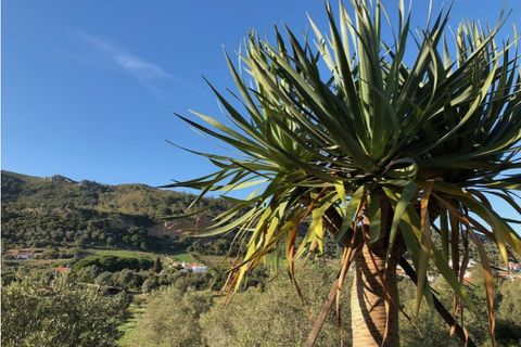Farm i Setubal, Setubal, Setubal - € 399.000 | Ref: MAS_182 - foto 9