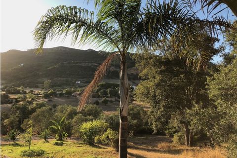 Farm i Setubal, Setubal, Setubal - € 399.000 | Ref: MAS_182 - foto 10