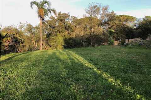 Farm i Setubal, Setubal, Setubal - € 399.000 | Ref: MAS_182 - foto 11